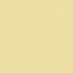7123 BS Limun Sorbet