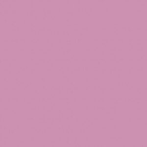 8534 BS Roze