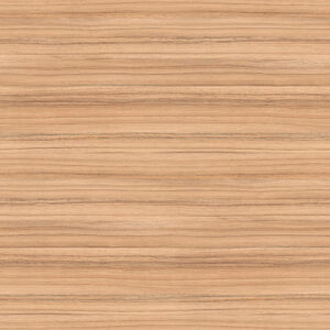 H3012 ST22 Coco Bolo