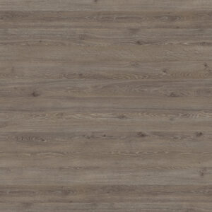 H3133 ST12 Hrast Davos Tartuf Braon