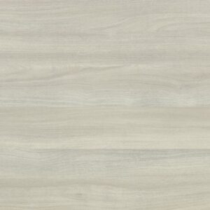 K019 PW Srebrni Liberty Brest