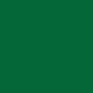 9561 BS Oksid Zelena